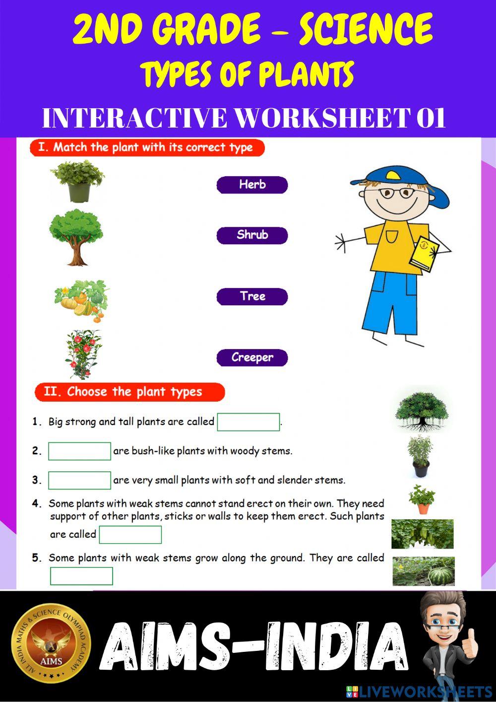 2nd-science-ps01-types of plants