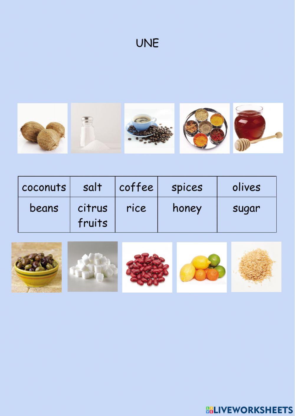 Vocabulario tema 3 Tiger Team