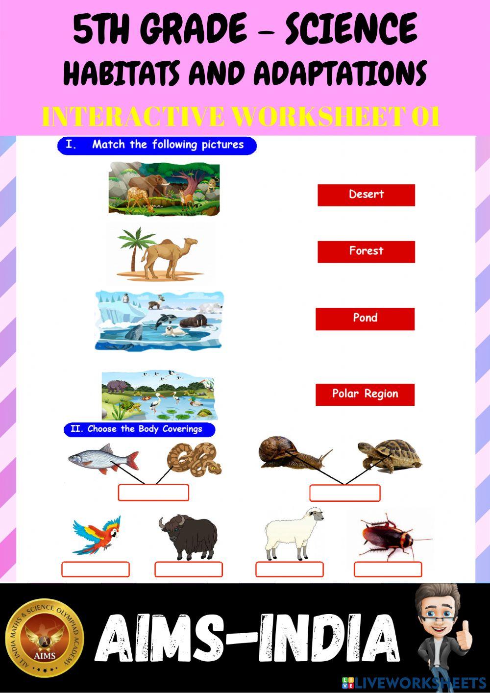 5th-science-ps01- animal habitats & adaptations