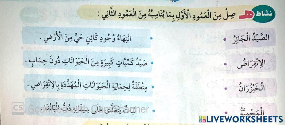 غابات البامبو4