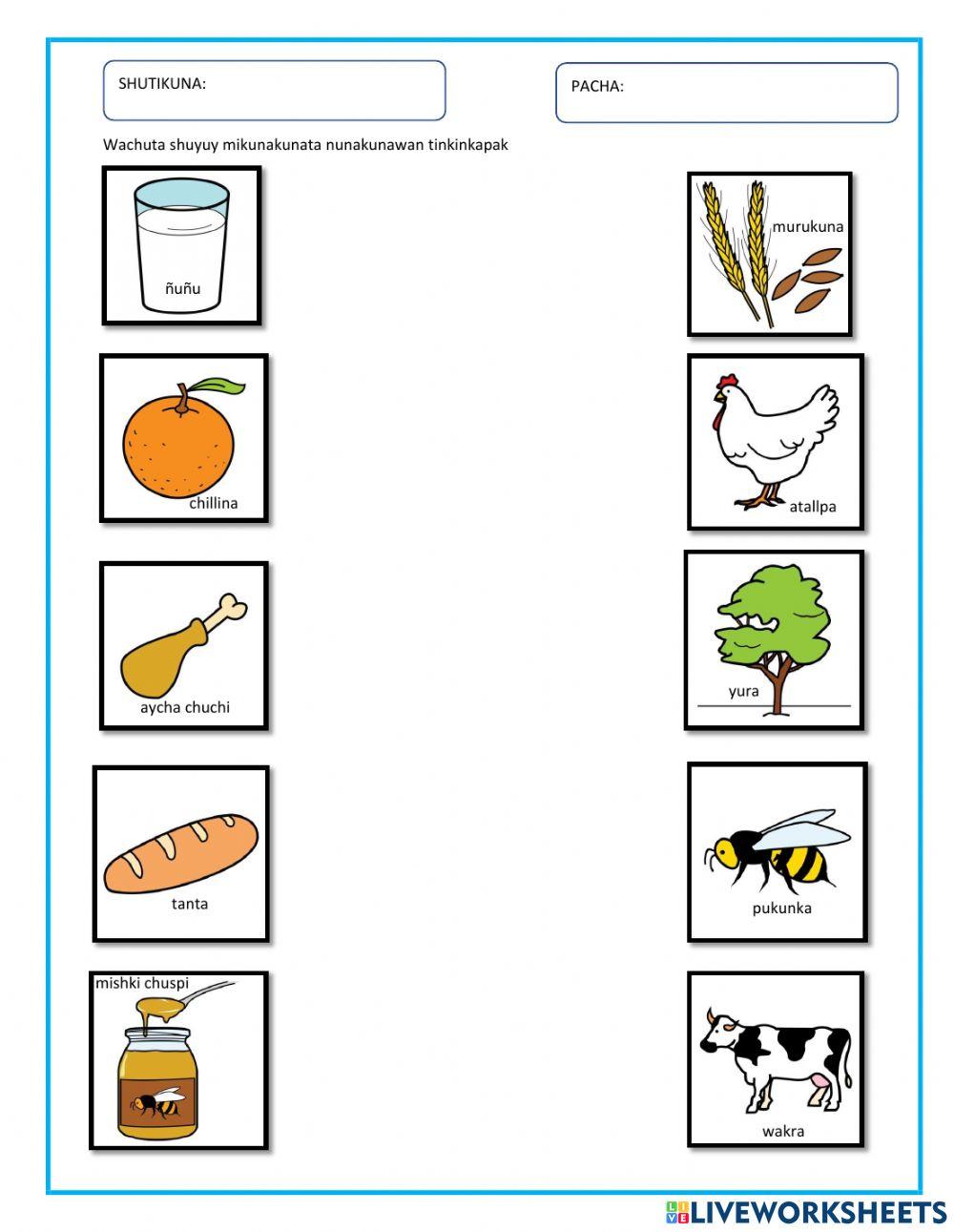 Mikunamanta Los alimentos