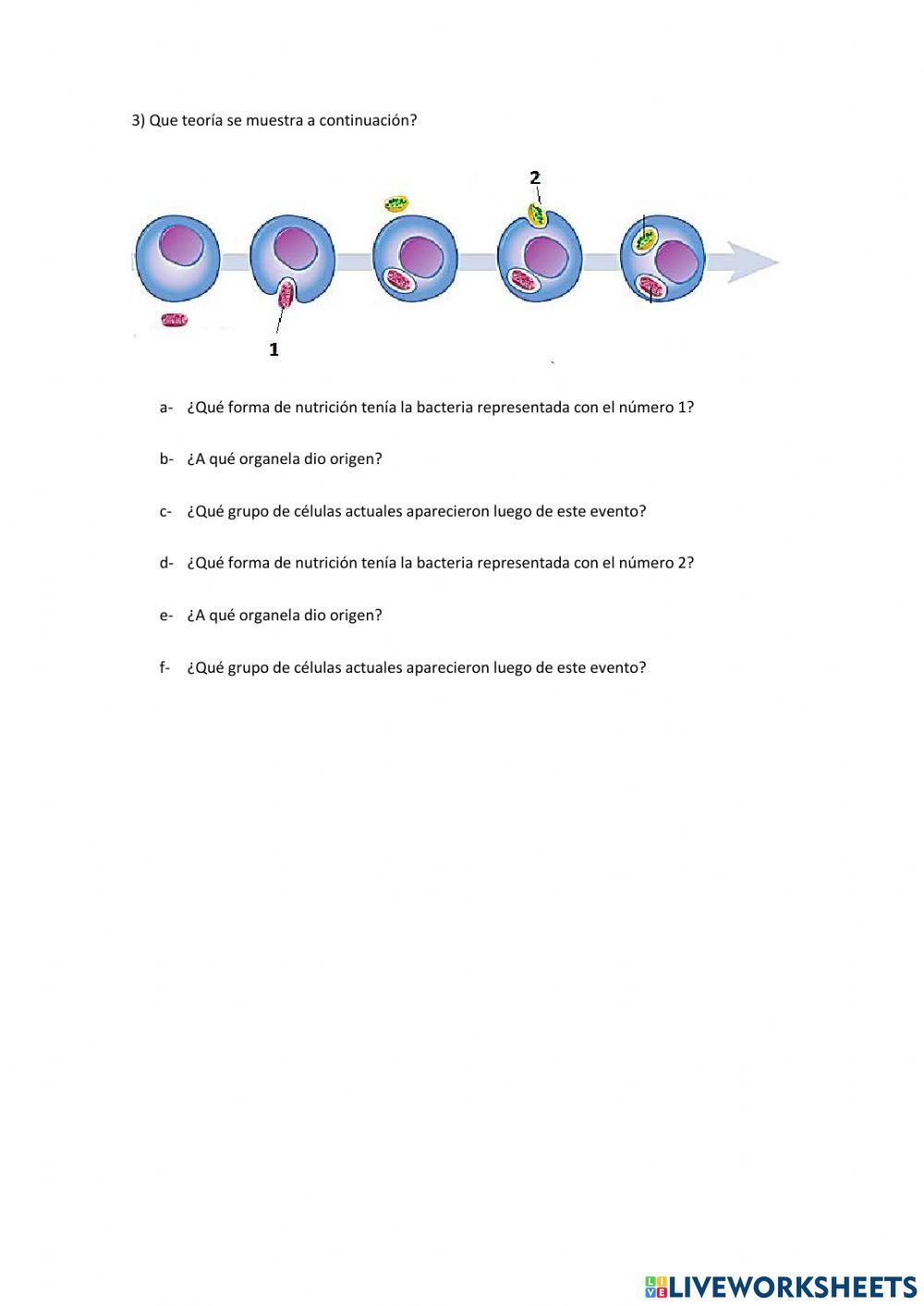El origen de las células