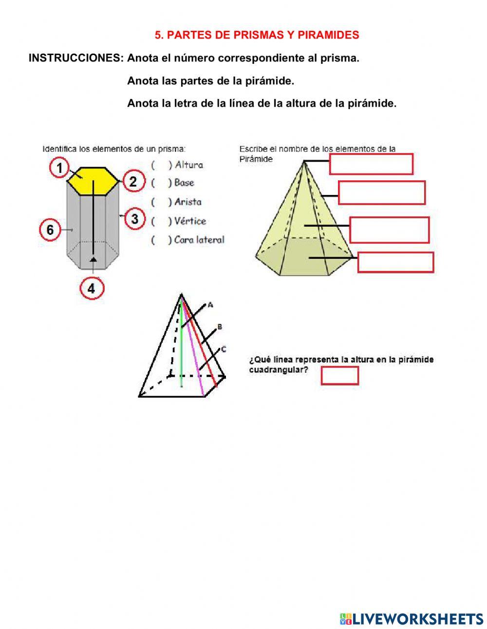 5. Partes de prismas y piramides
