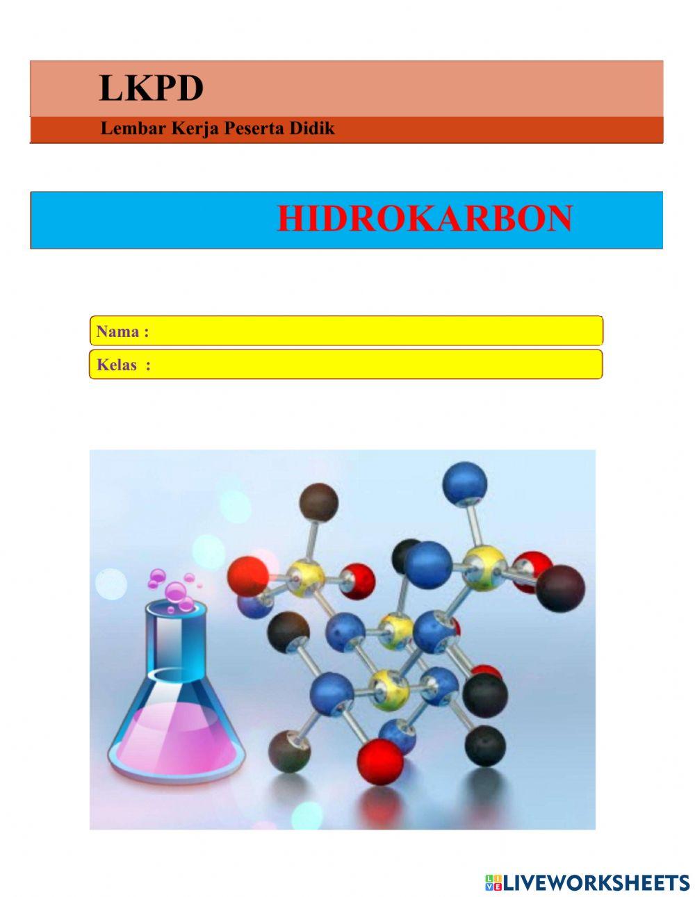 LKPD hidrokarbon 3