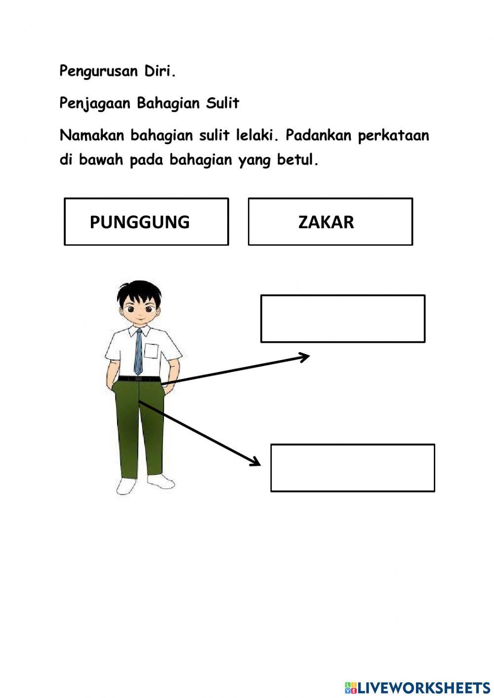 Penjagaan Bahagian Sulit