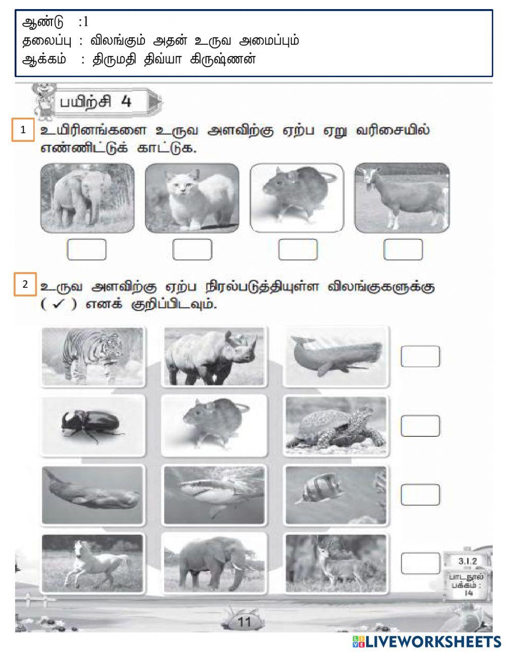 விலங்குகளின் உருவ அளவு