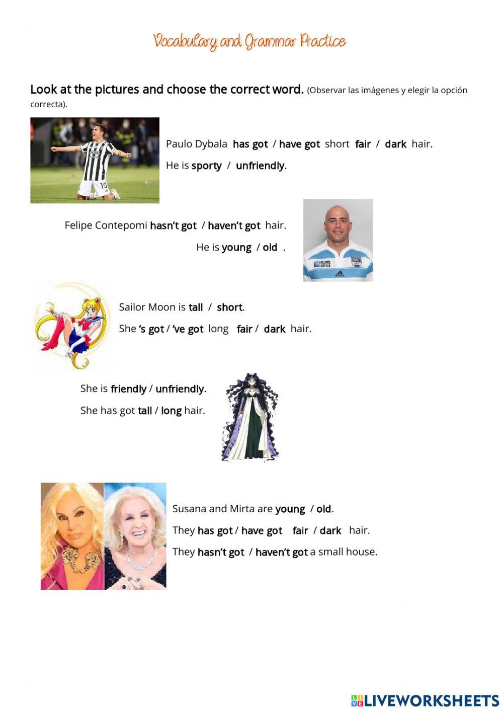 Vocabulary and grammar practice