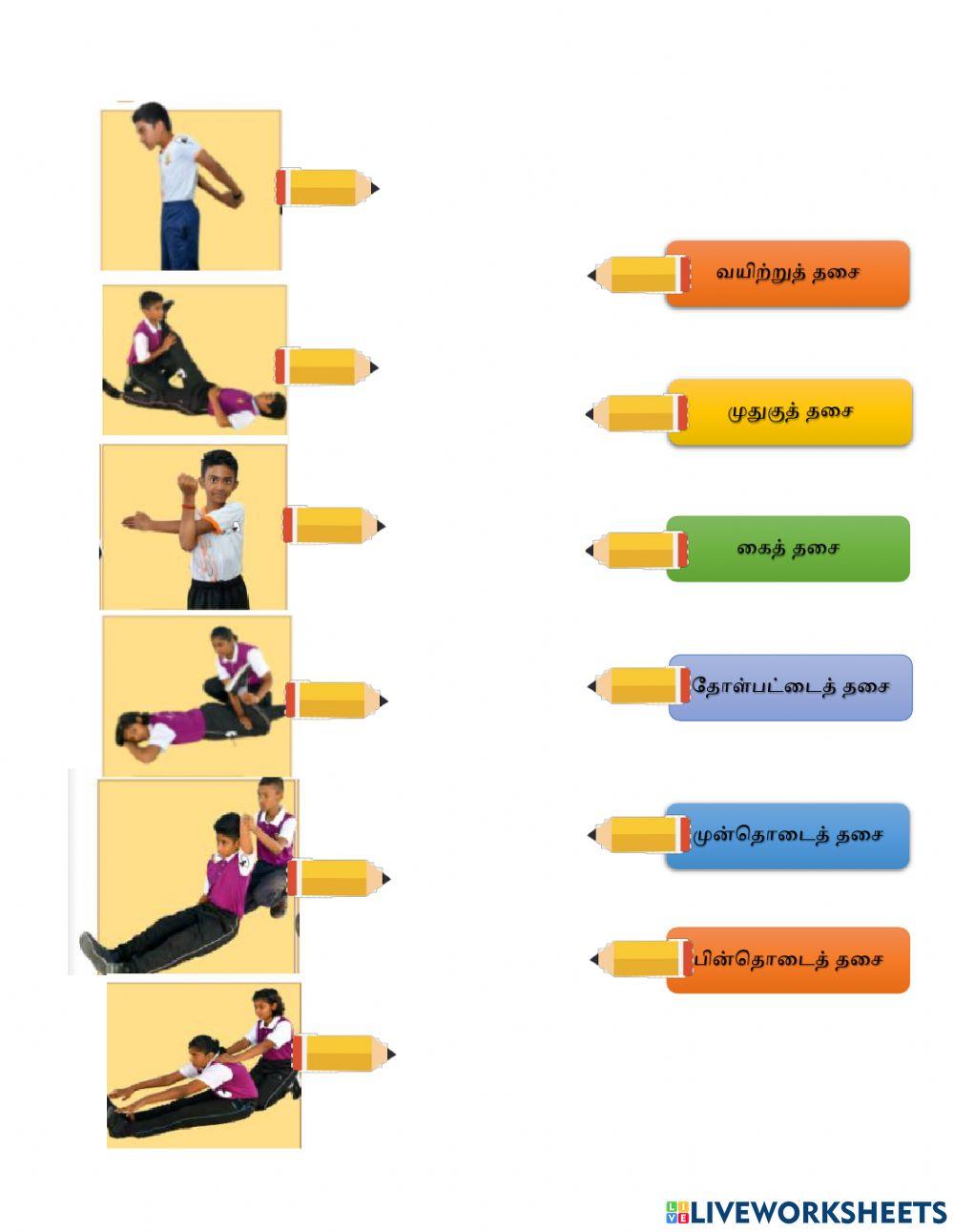 ஆரோக்கியமான வாழ்க்கை முறை