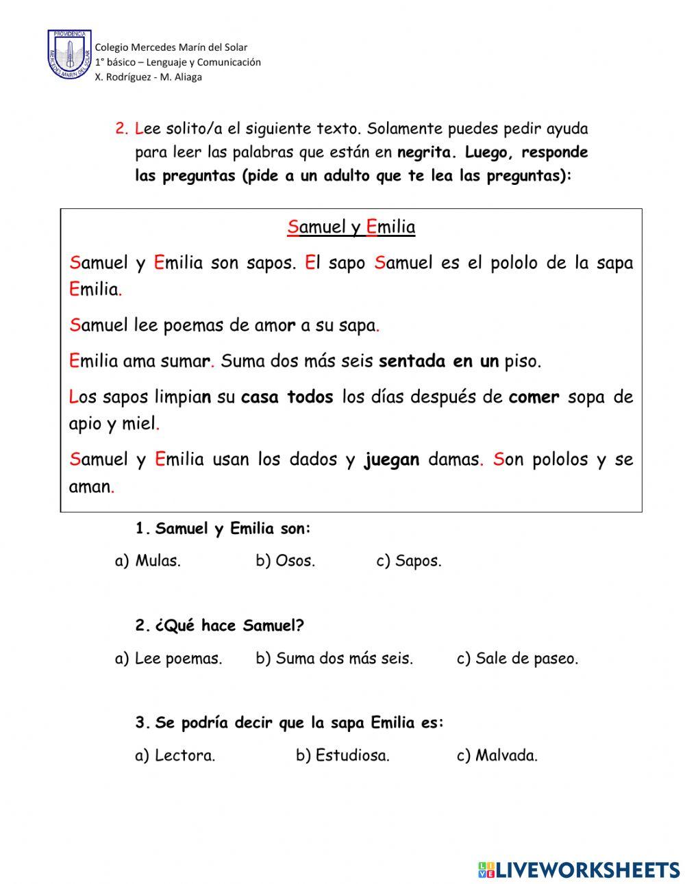 Prueba M, P, L, S y D (Final 1° semestre)