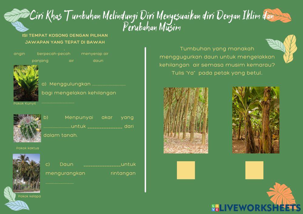 Kemandirian spesies tumbuhan