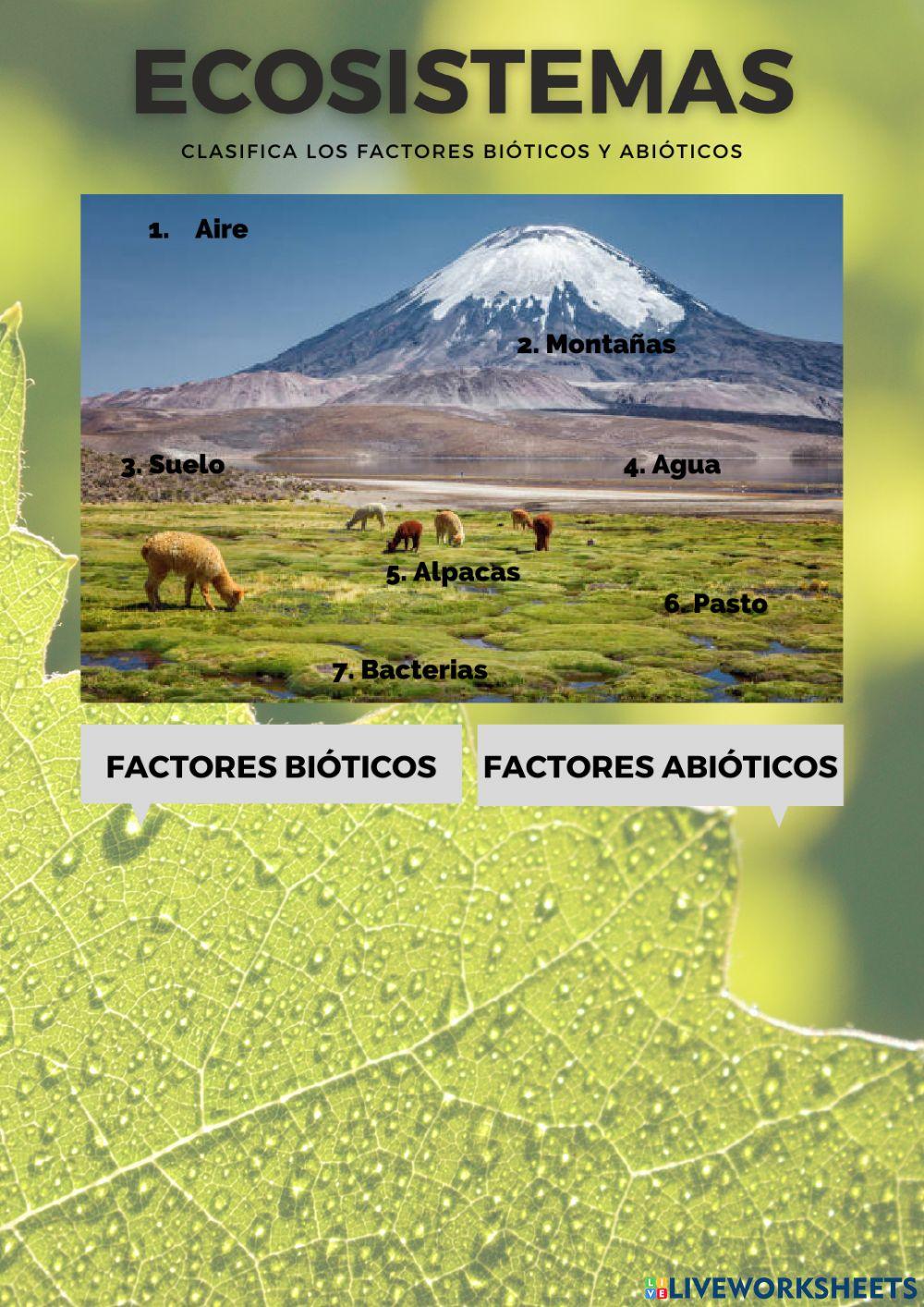 Ecosistemas - Factores bióticos-abióticos