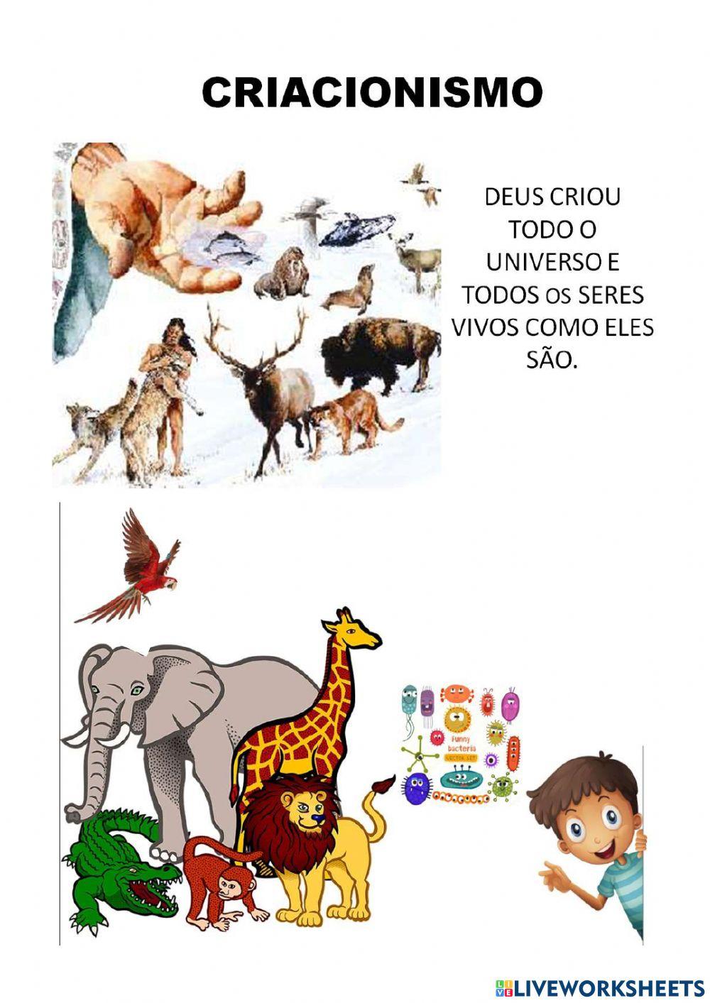 Teorias evolucionistas