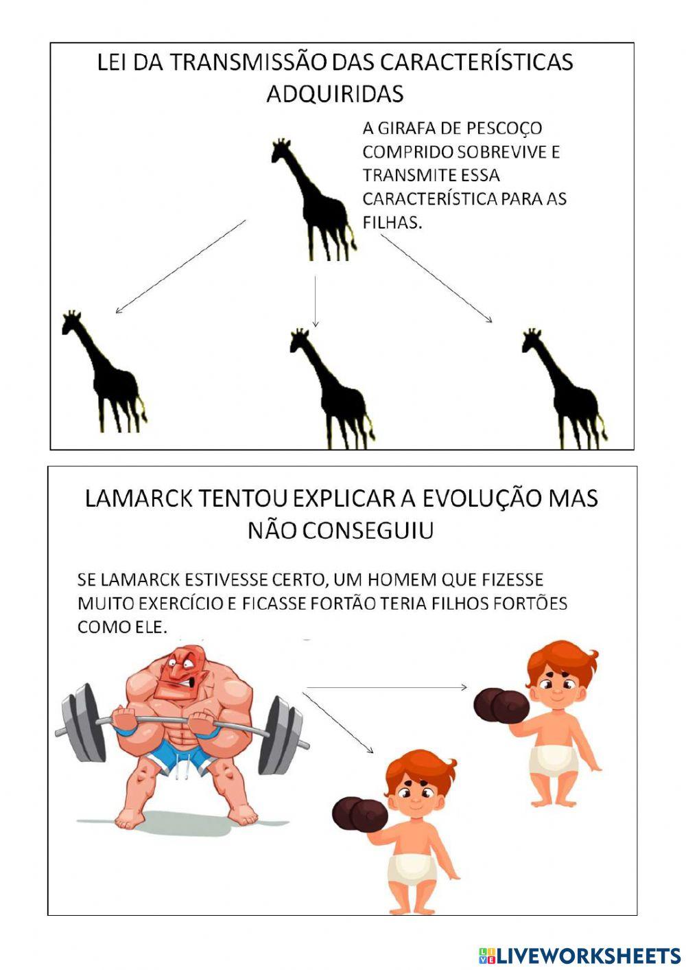 Teorias evolucionistas