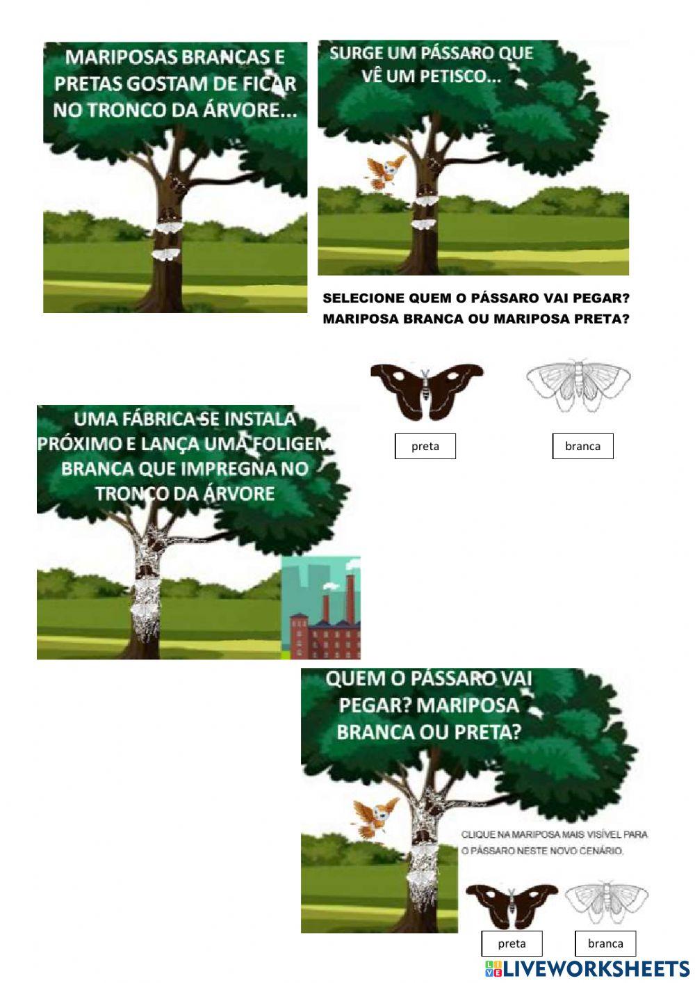 Teorias evolucionistas