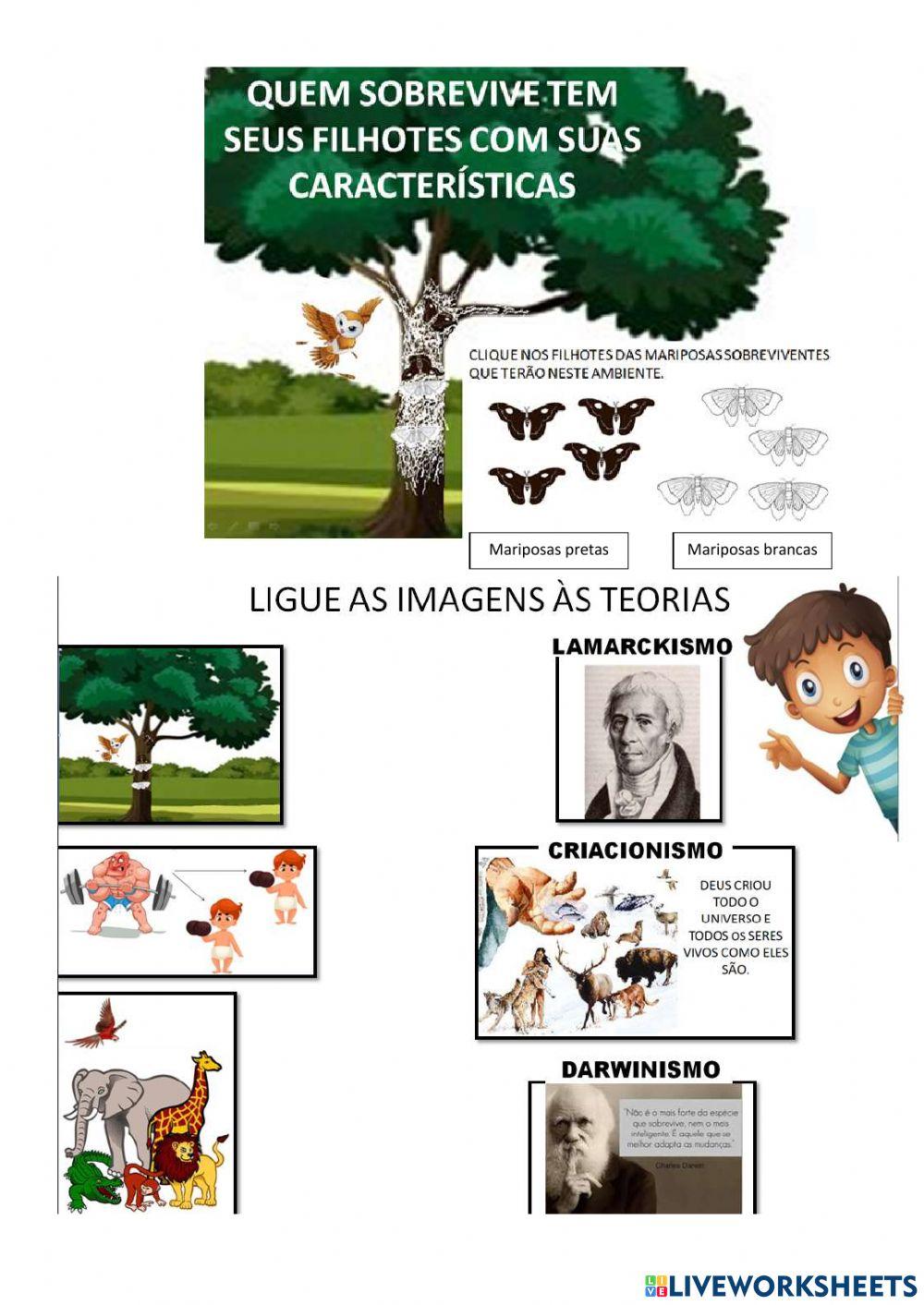 Teorias evolucionistas