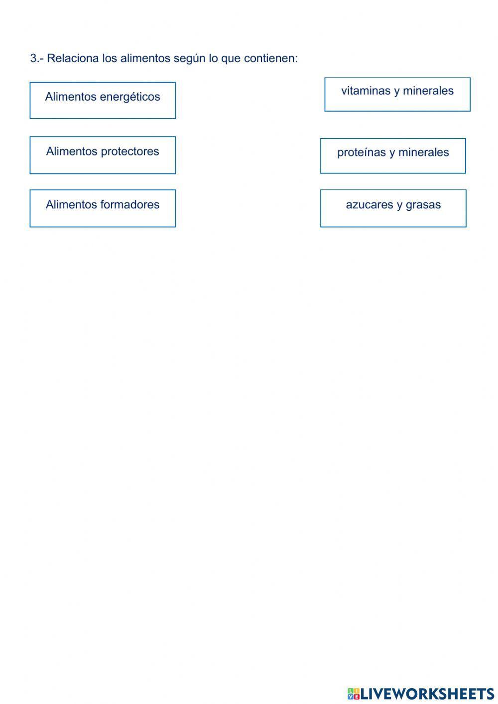 Los alimentos según su función.