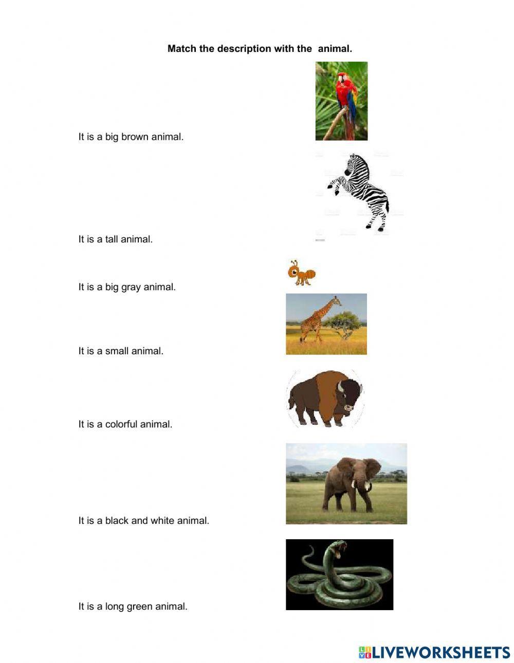 Match the description with the animal.