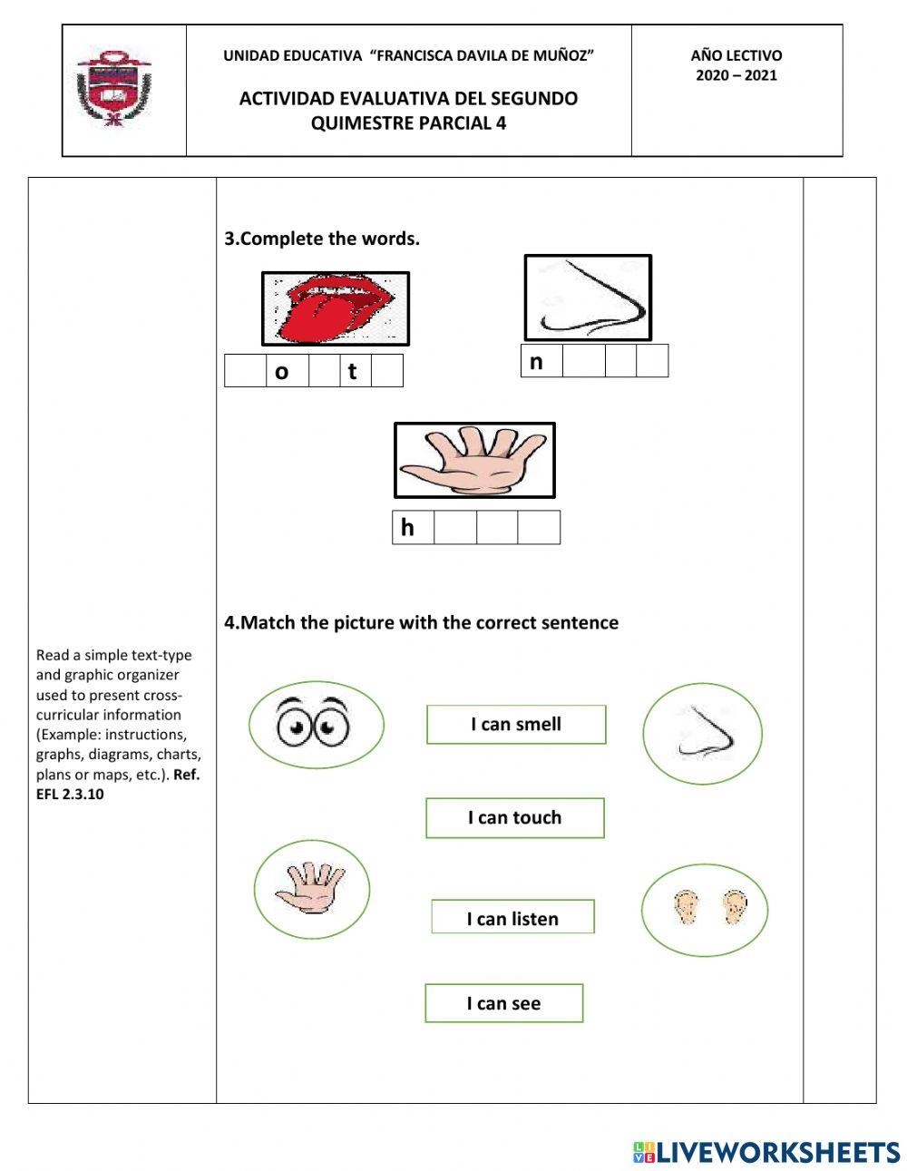 Commands- Human body