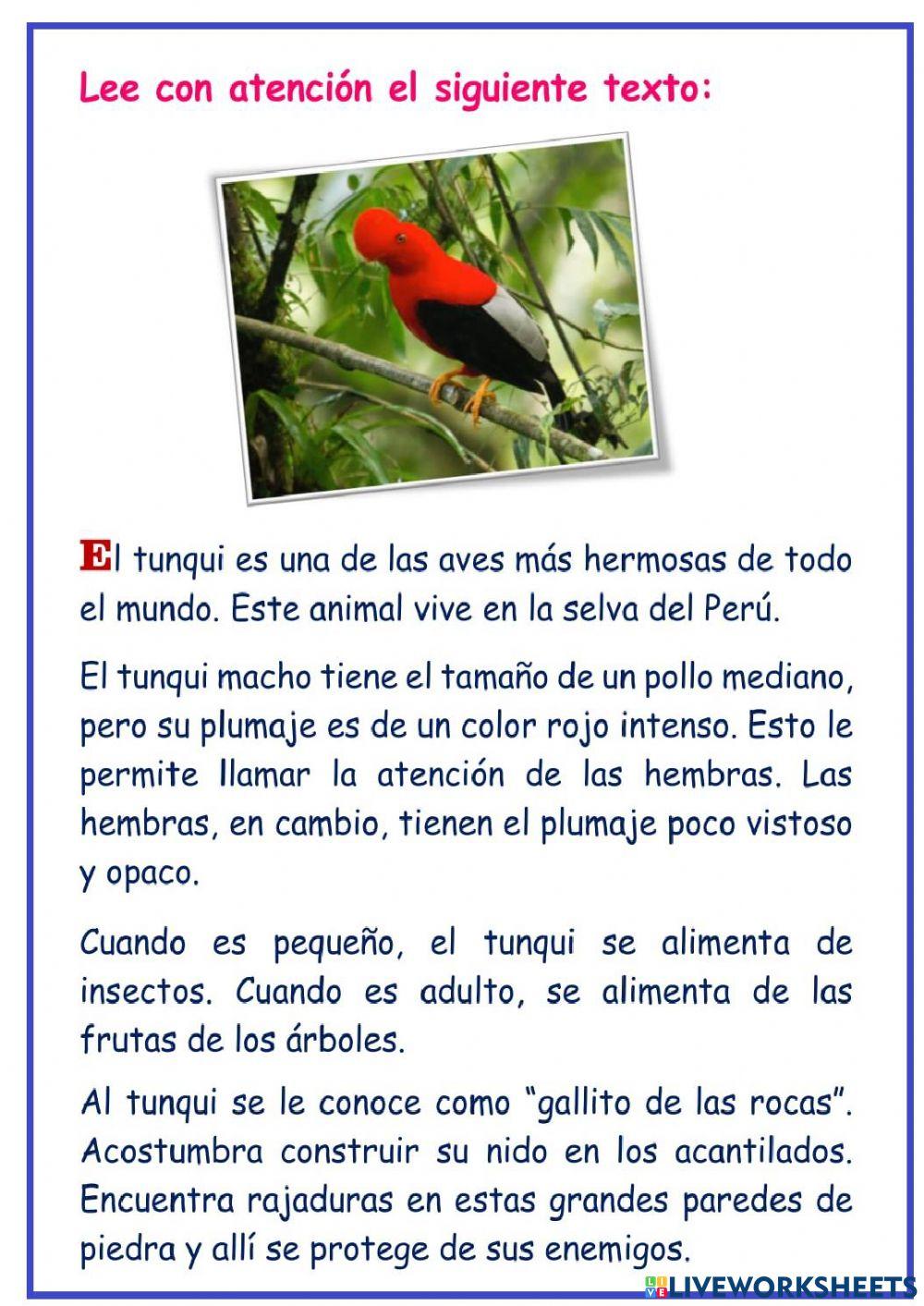 Comprensión lectora