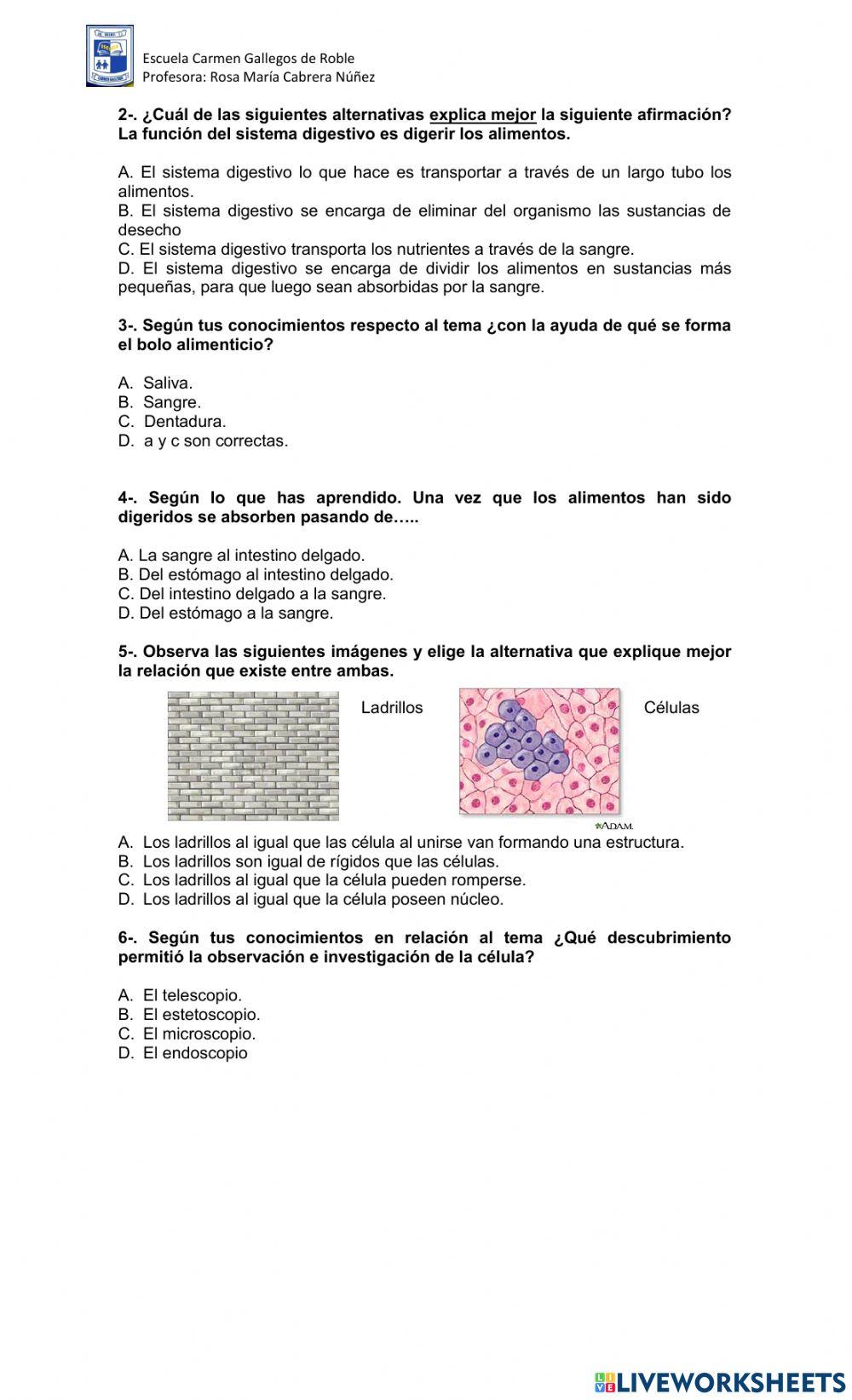 Evaluacion celulas y sistemas