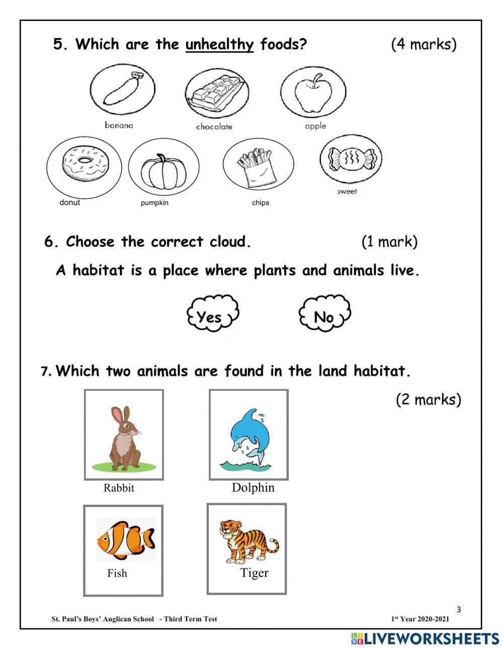 Science End of Term Test 2021