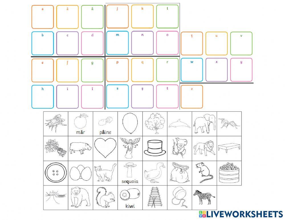 Cu ce litera începe cuvântul denumit de imagine?