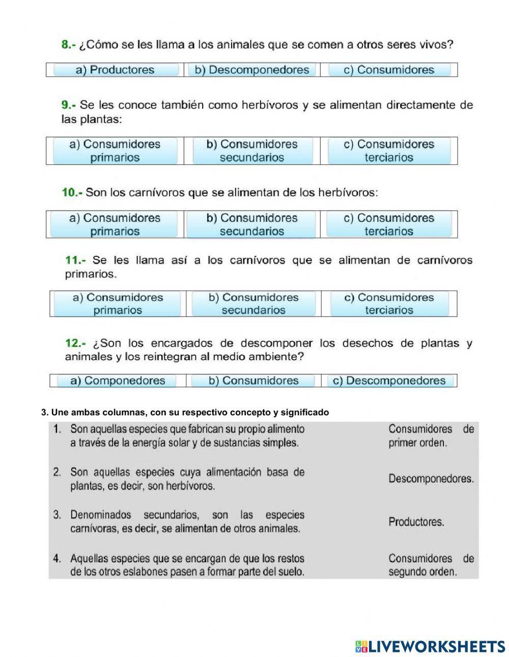 Relaciones alimenticias (cadenas y tramas tróficas)