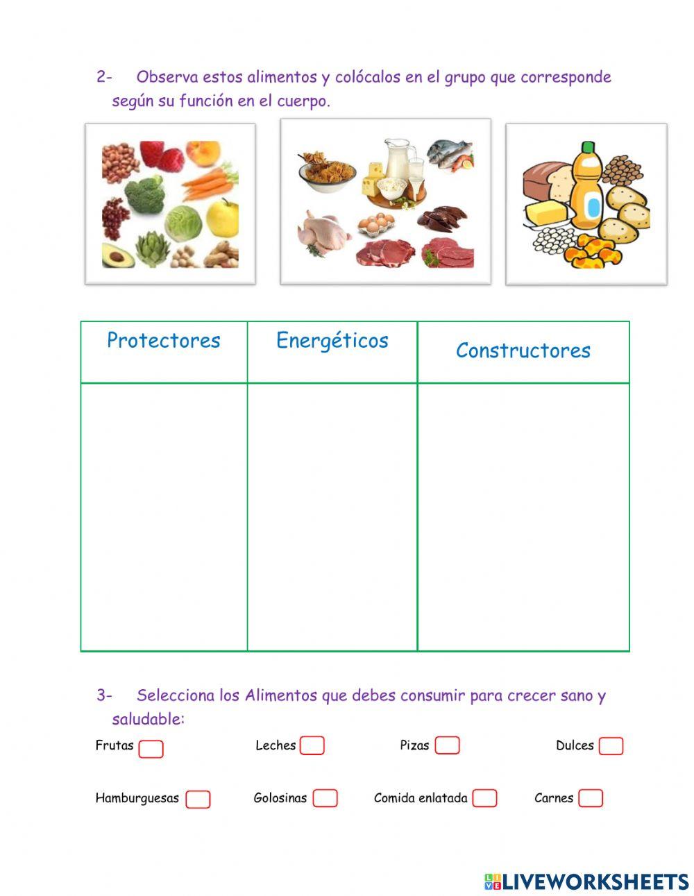 Los Alimentos y su función en el Cuerpo