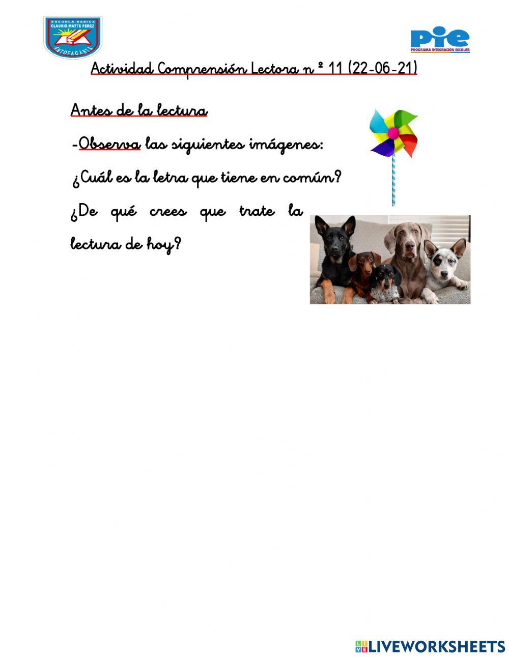 Actividad 11 Reforzamiento 2 A