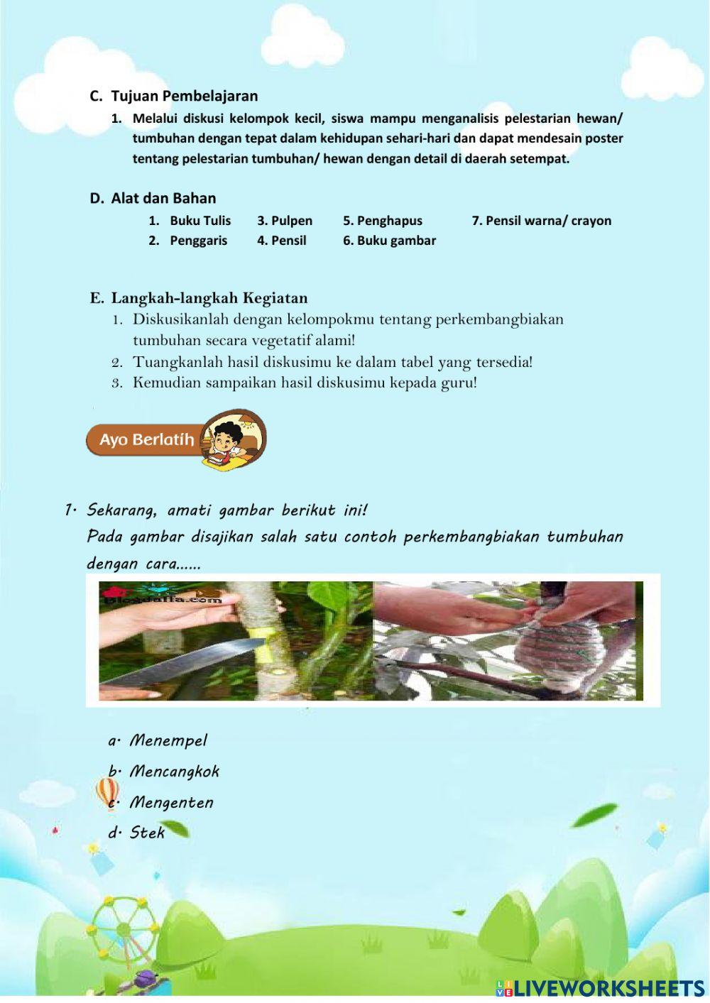 Pelestarian tumbuhan