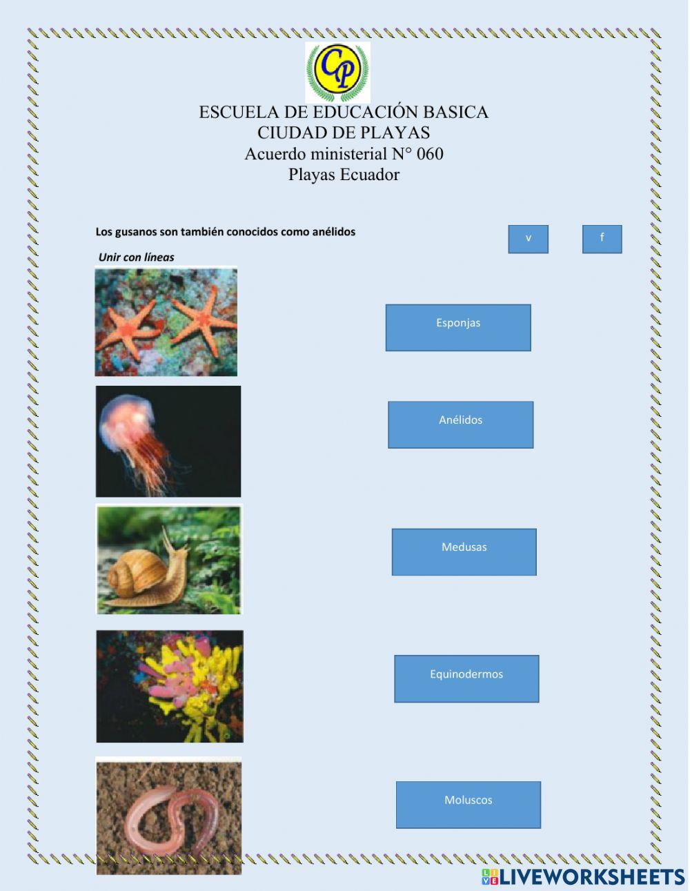 Evaluación Primer parcial