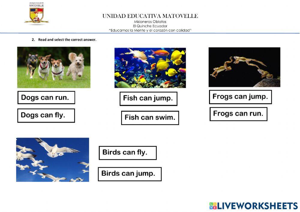 Fourth partial evaluation year 2