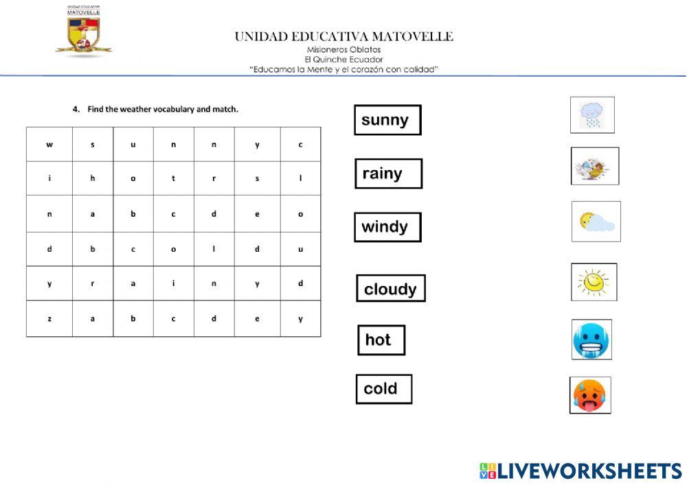 Fourth partial evaluation year 2
