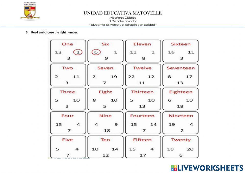 Fourth partial evaluation year 2
