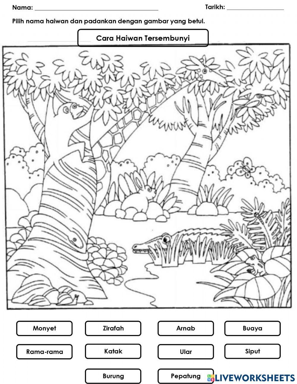 Cari Haiwan Tersembunyi