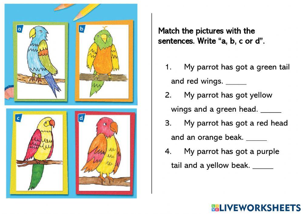 Reading about parrots