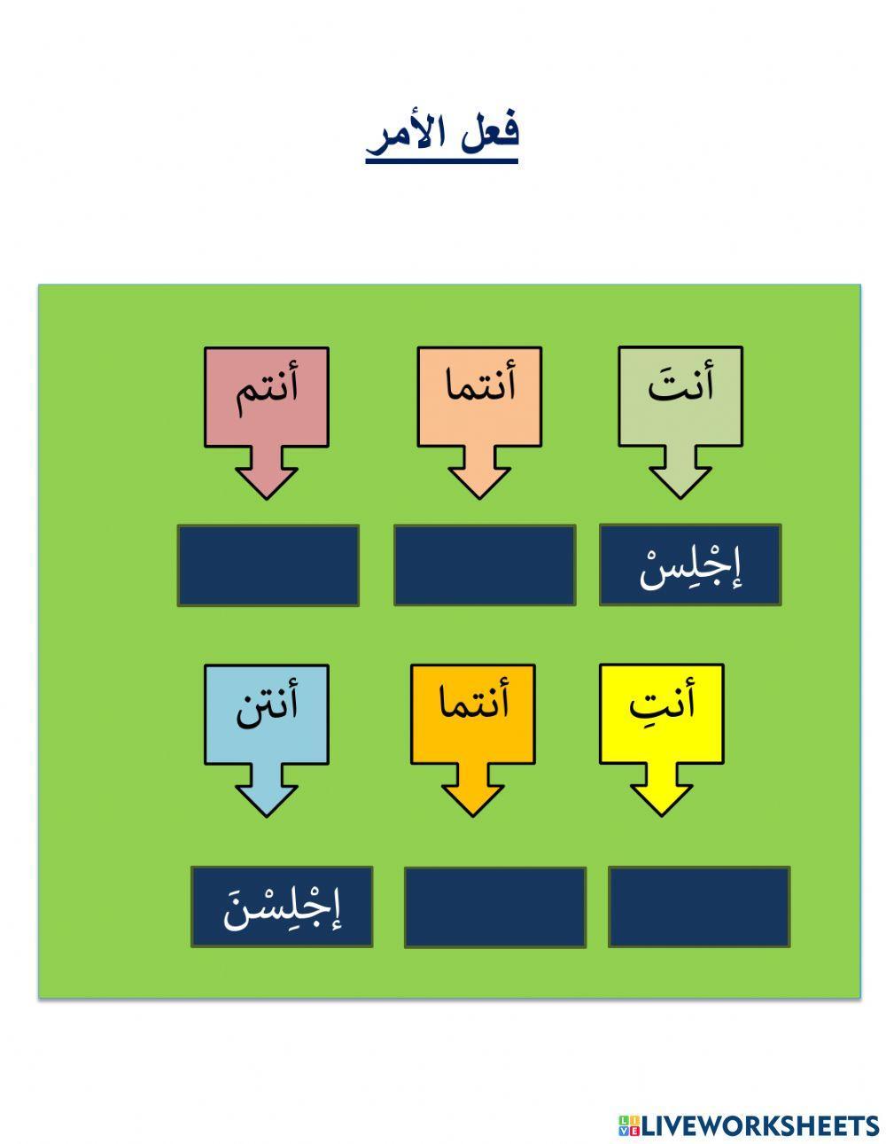 فعل الماضي والمضارع والأمر