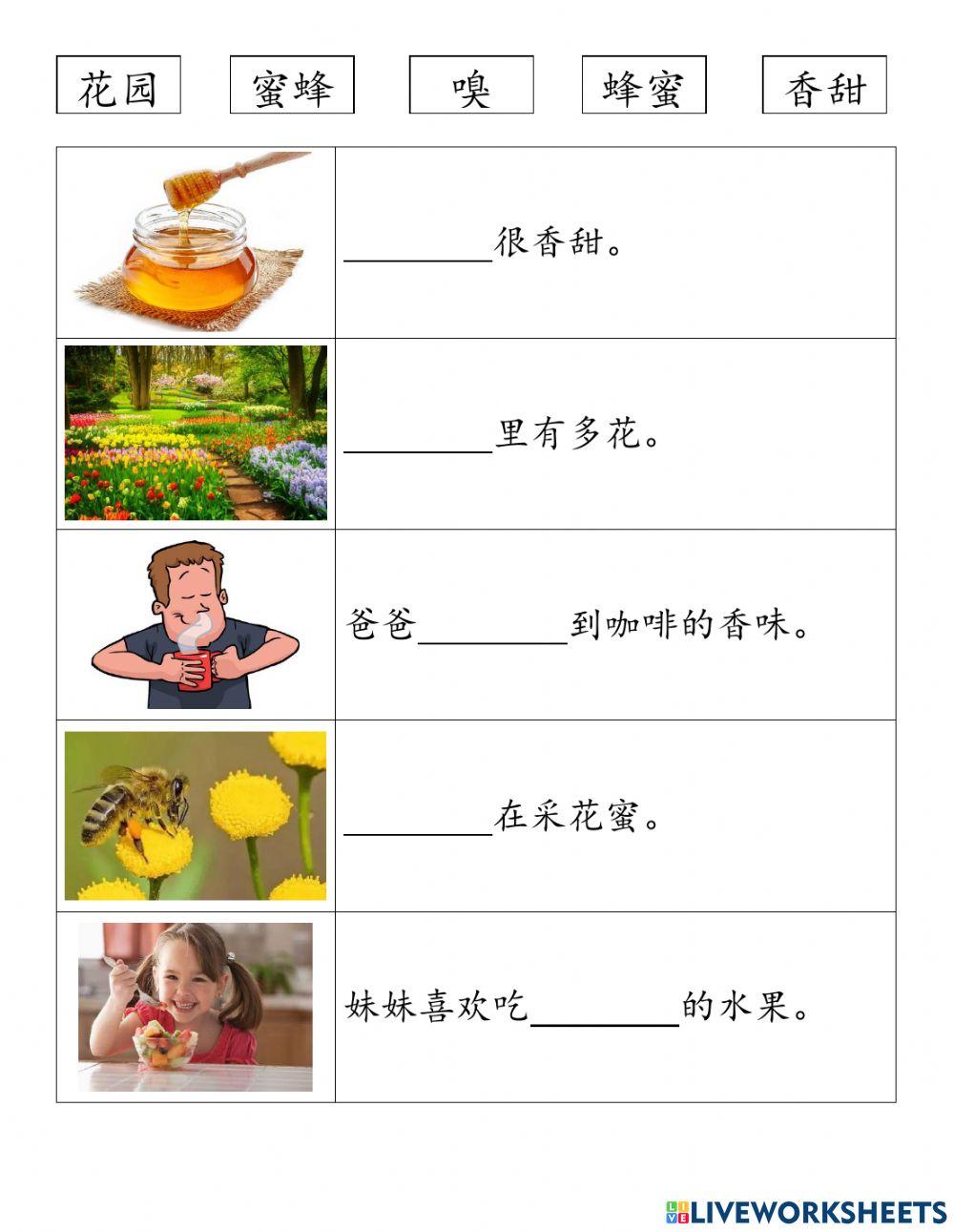 一年级华文单元七