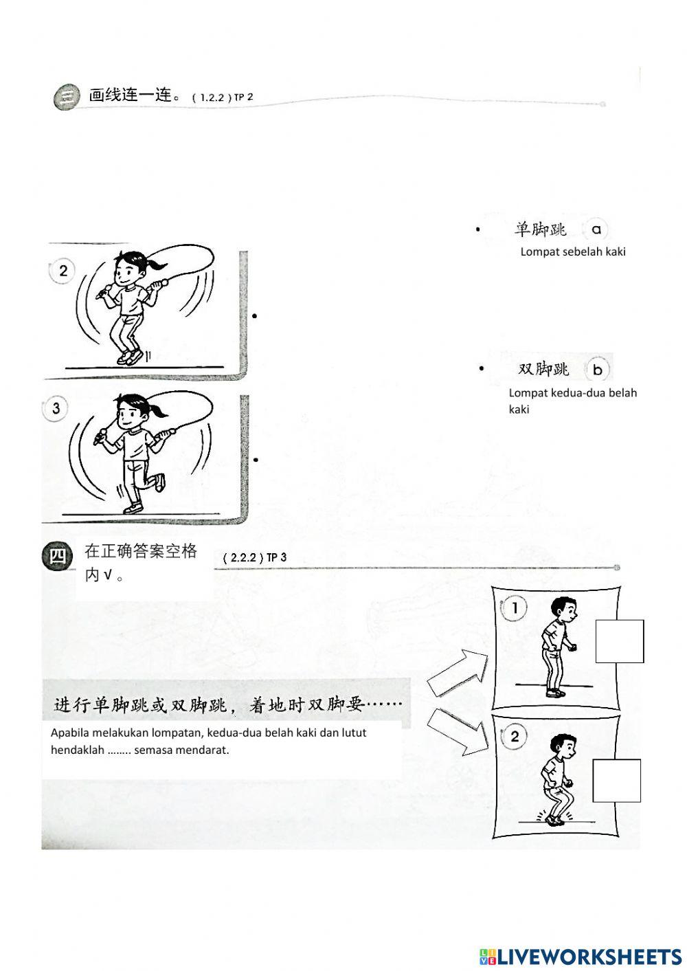 体育 - 单脚跳双脚跳 1.2.2