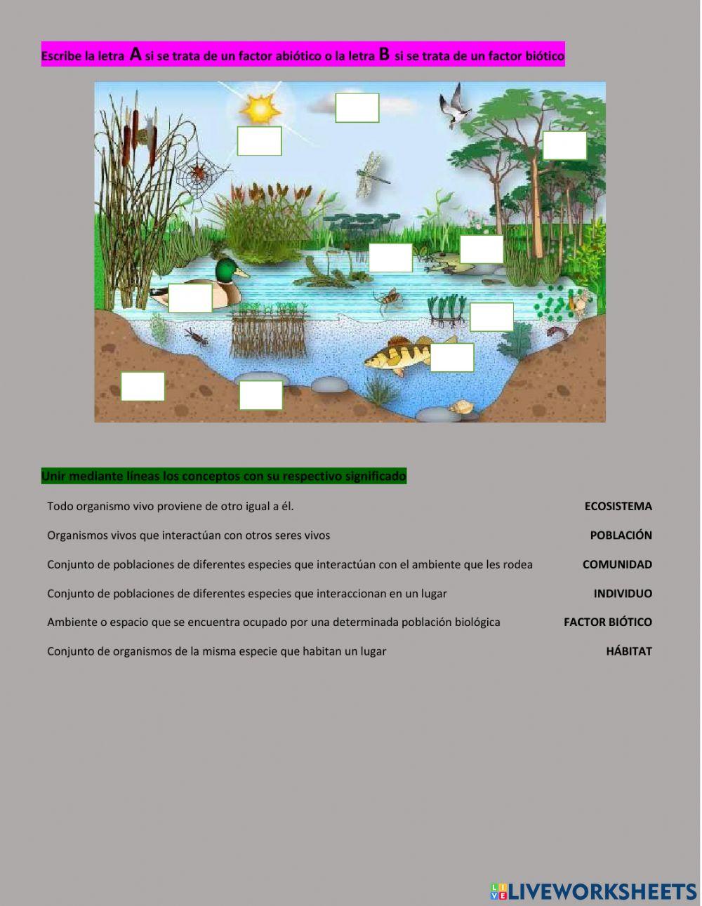 Elementos de un ecosistema