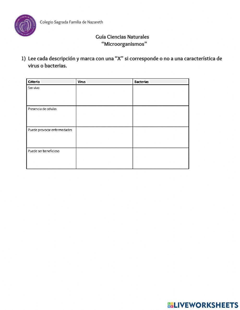 5° Ciencias Microorganismos