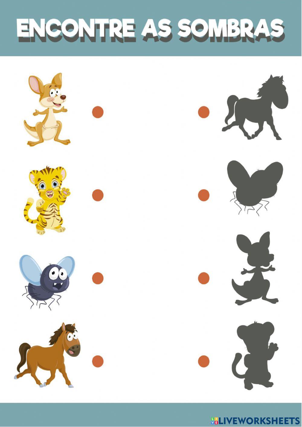 Animais - Encontre as sombras