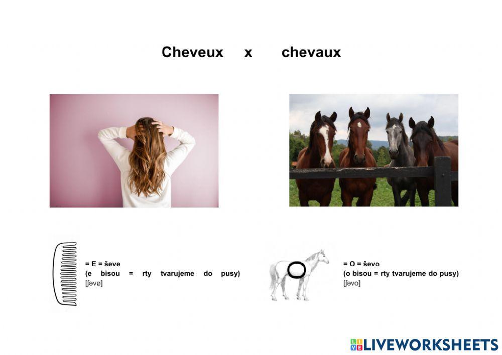 Cheveux x Chevaux