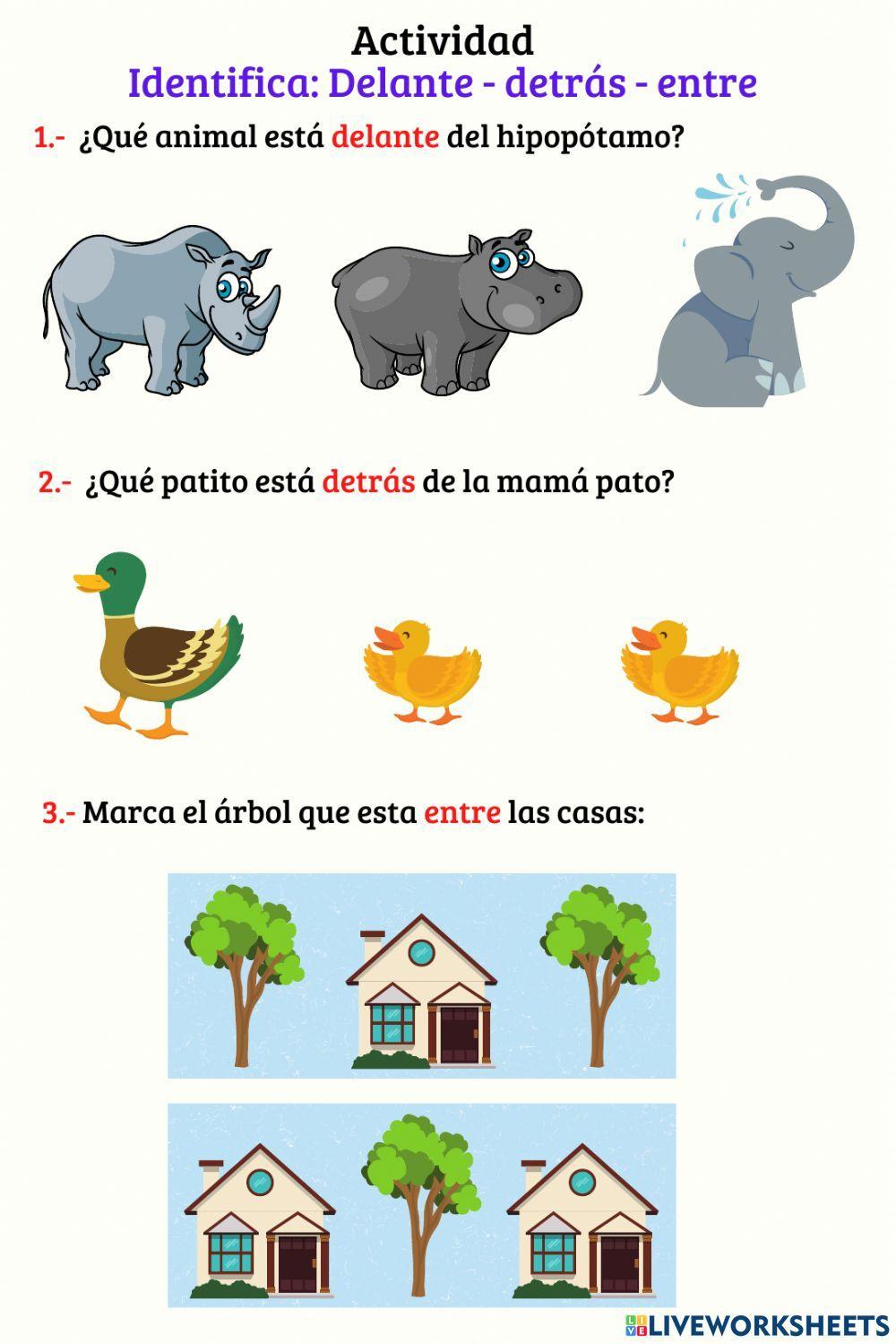 Delante - detràs - entre