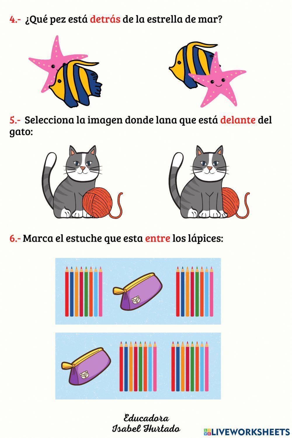 Delante - detràs - entre