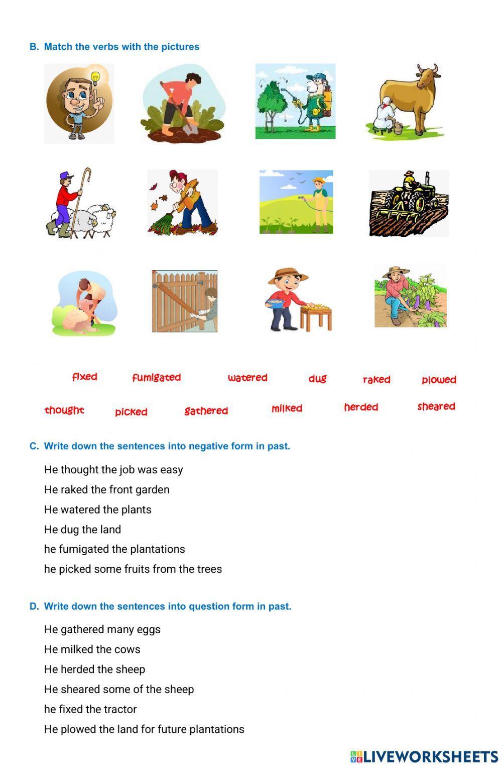 Simple Past - Farming