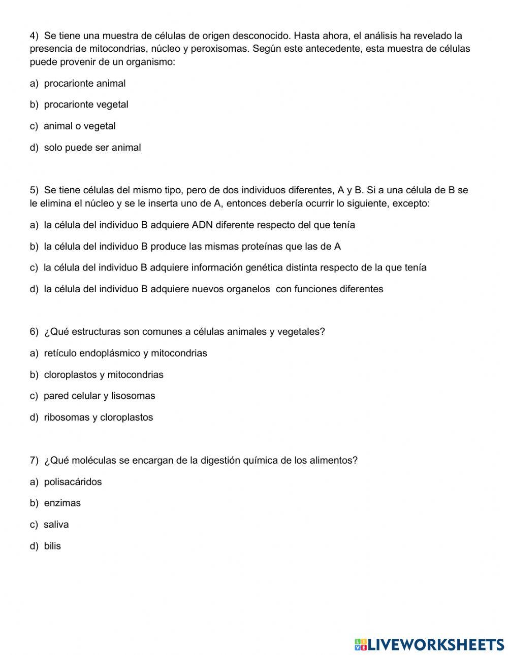 EVALUACIÓN UNIDAD 2 LA CÉLULA 8VO