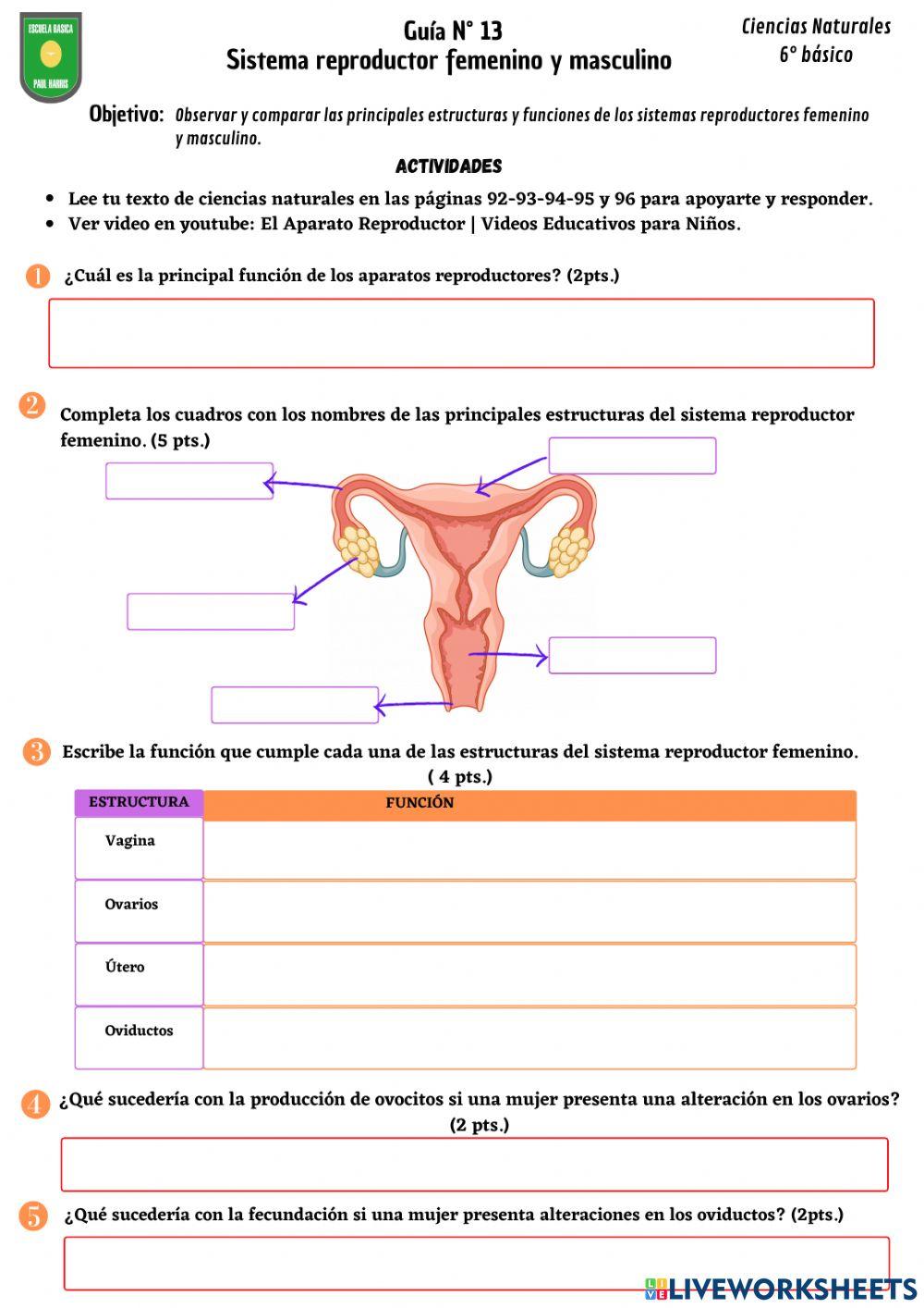Guía N° 13- Sistemas reproductores
