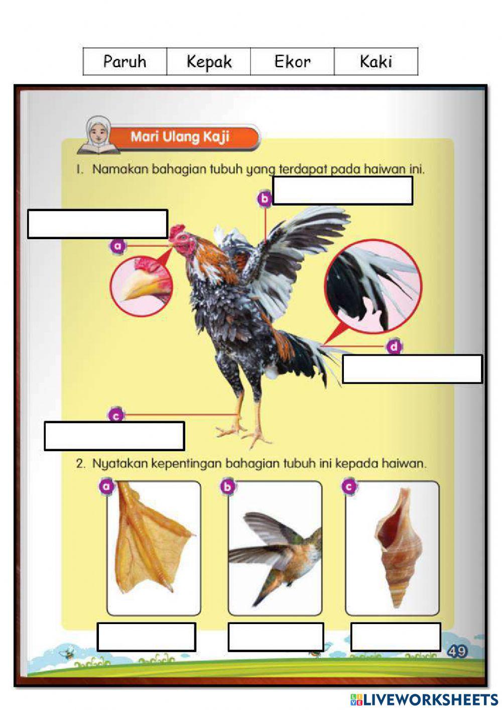 SAINS TAHUN 1 BAHAGIAN TUBUH HAIWAN DAN KEPENTINGANNYA