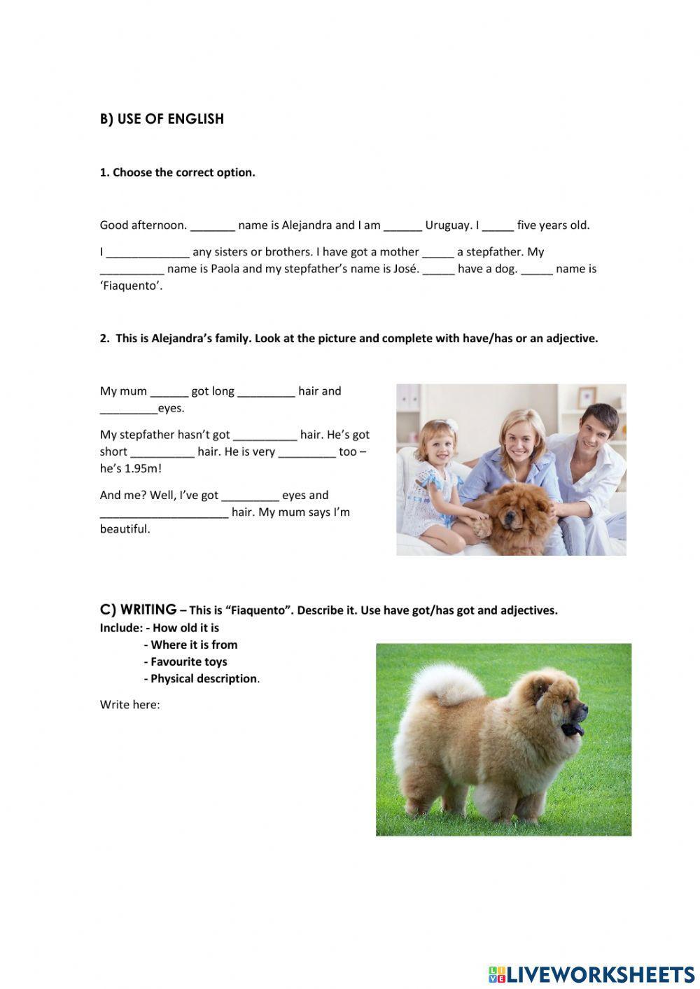 Assignment I interactive worksheet | Live Worksheets